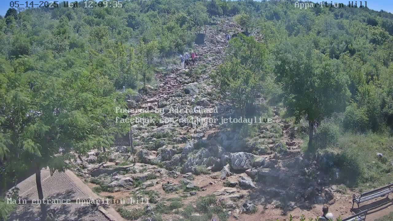 A rocky, uphill path winds through a lush green hillside on a sunny day, with several people walking upward.