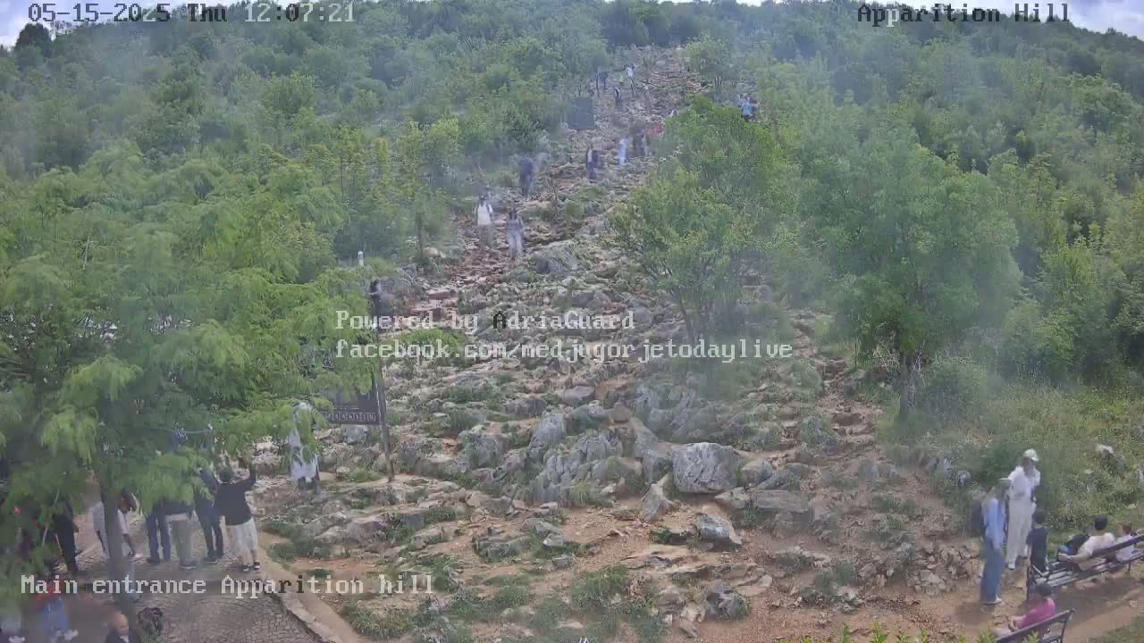 A rocky path winds uphill through a hazy, wooded area, with numerous people walking along it.