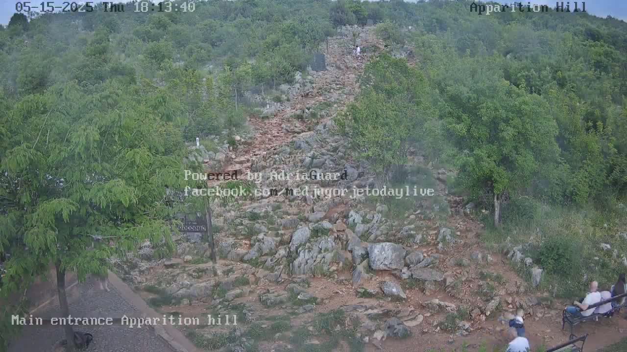 A rocky path winds uphill through a wooded area under an overcast sky.