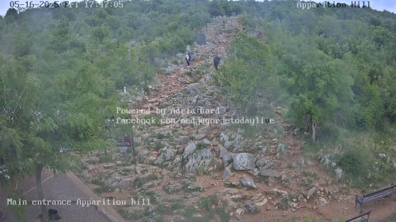 A rocky path winds uphill through a hazy, green landscape, with a few people walking on it.