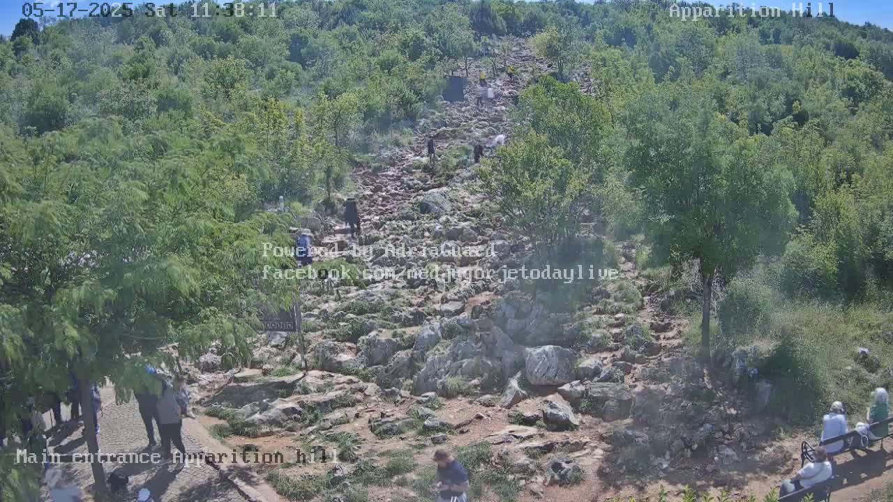 A rocky path winds uphill through a verdant hillside, where several people are walking and sitting under a bright, sunny sky.