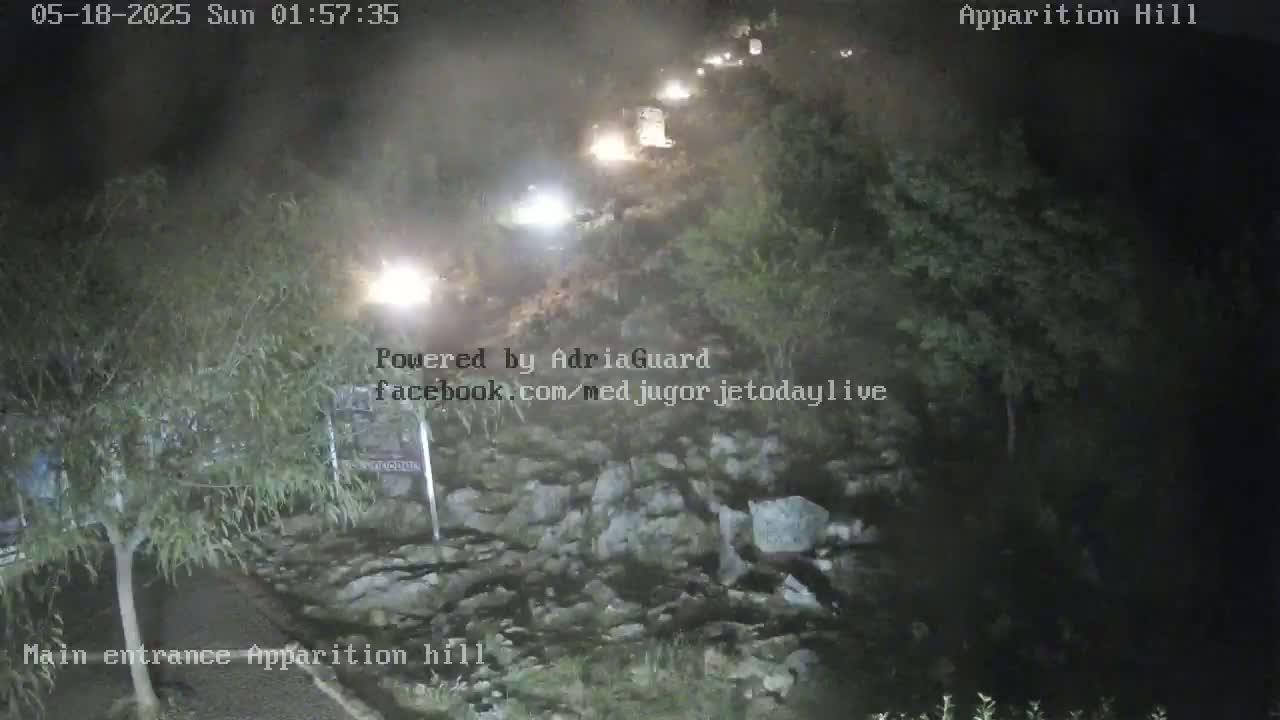 A nighttime, low-light view of a roadway with several vehicles traveling uphill through a rocky, vegetated area.