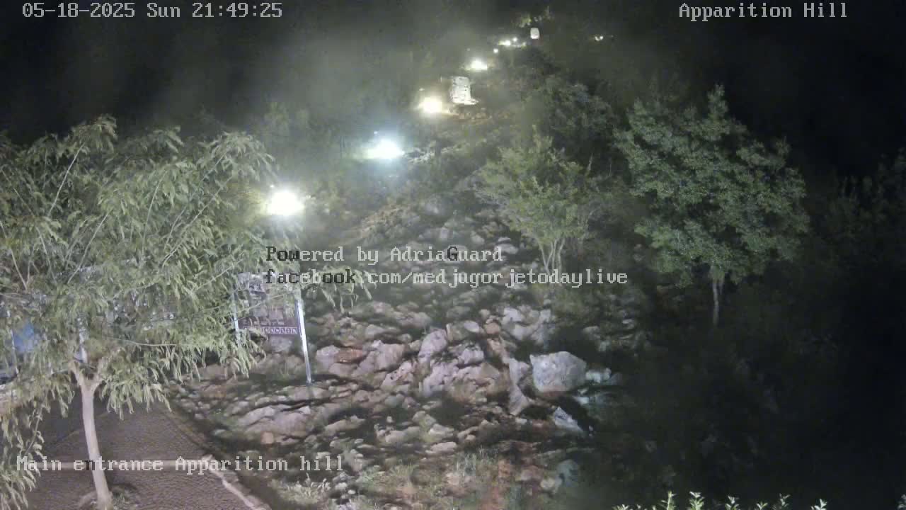 A nighttime view of a rocky path illuminated by lights, surrounded by trees and bushes.