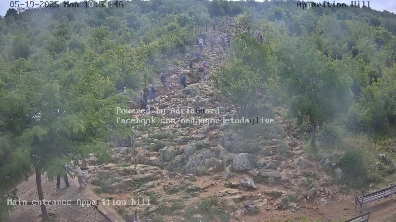 A hazy view shows a rocky path uphill, where numerous people are walking, surrounded by green vegetation.