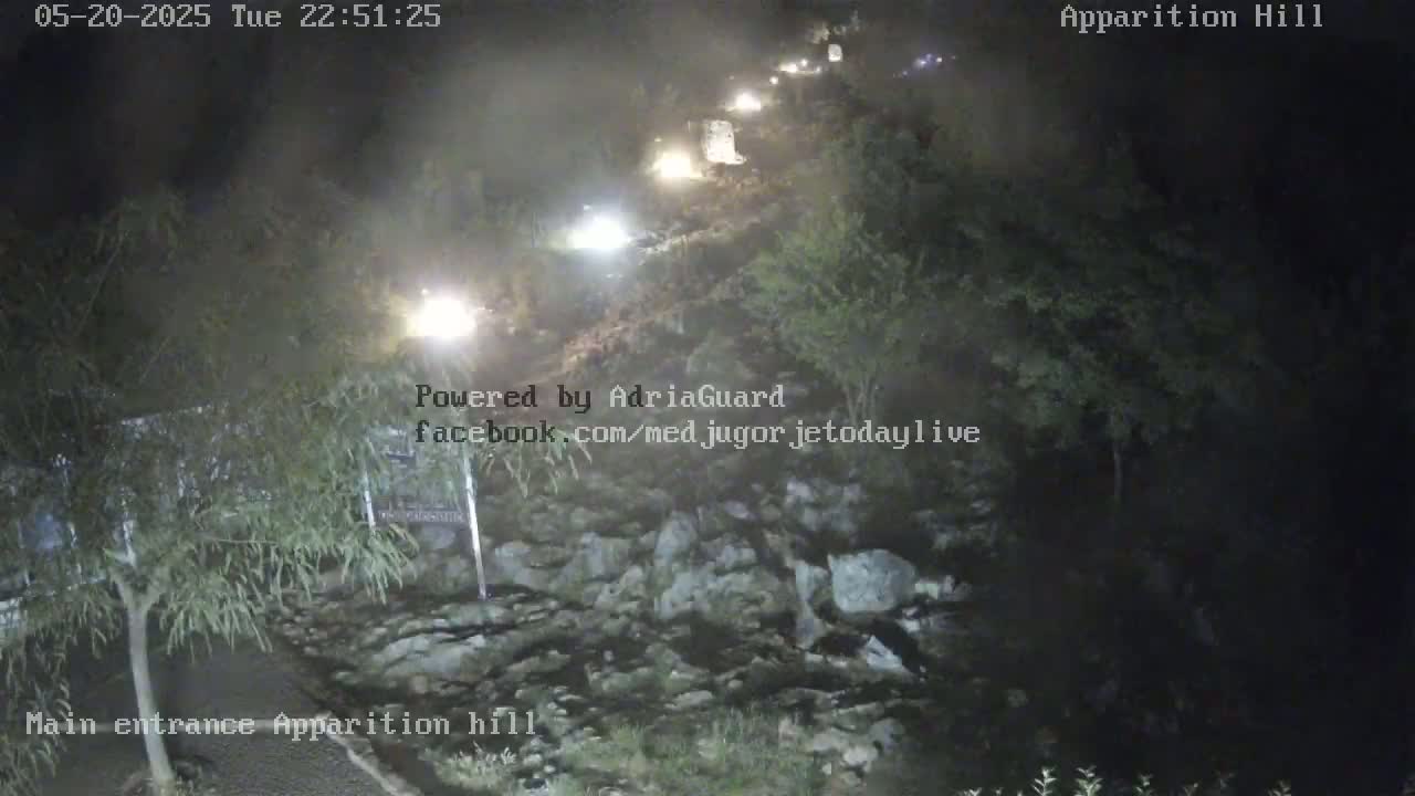 A nighttime overhead view of a roadway winding through a dark, tree-lined area with several vehicles visible.