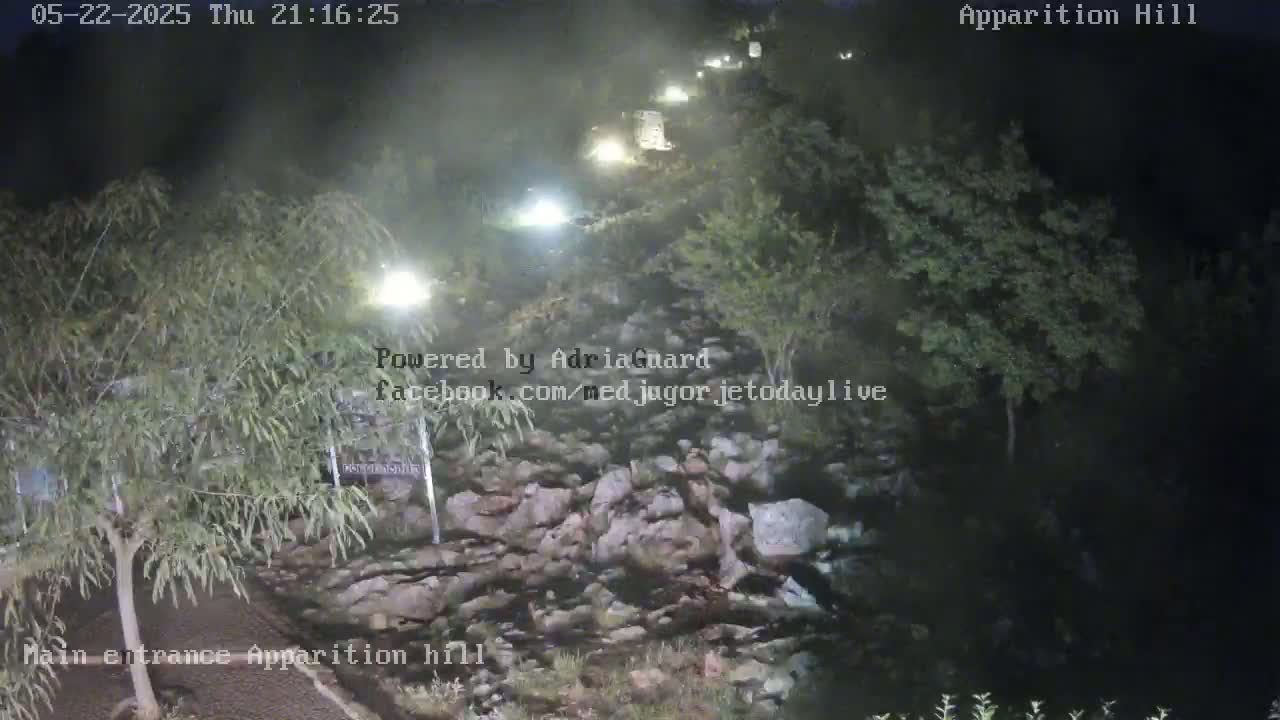 A nighttime, foggy view of a rocky path winding through a wooded area, illuminated by several lights.