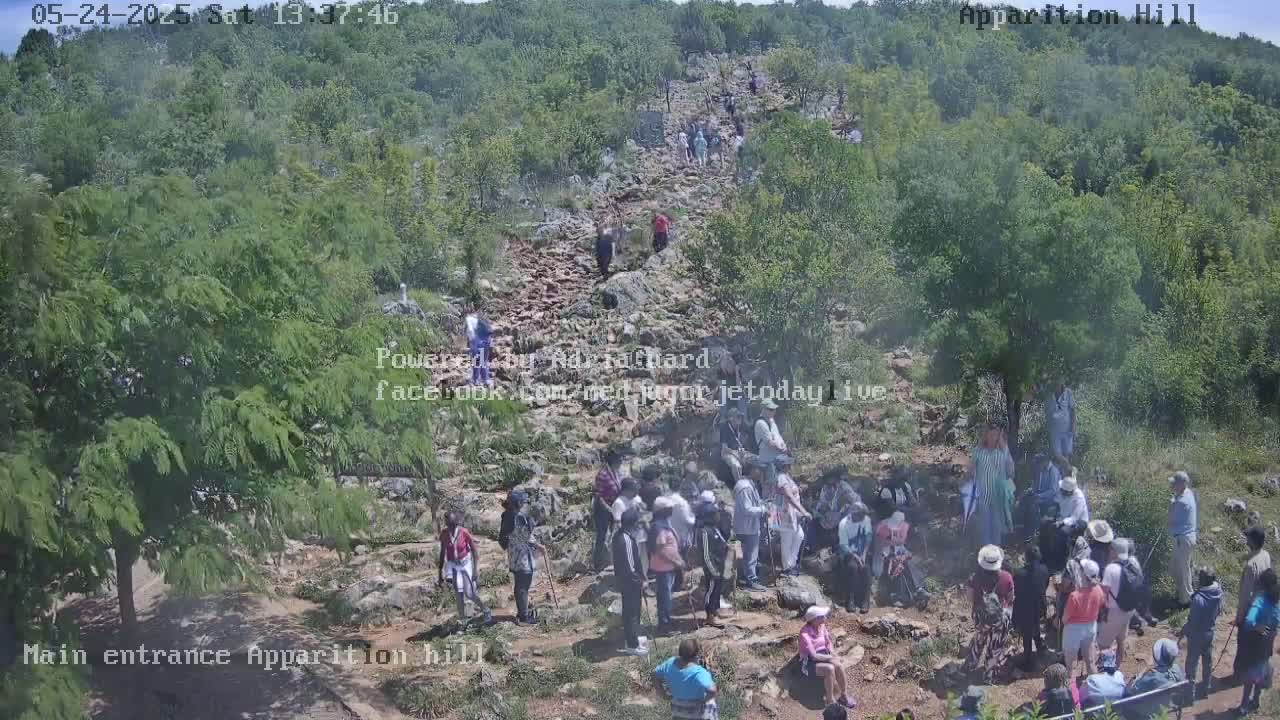 A large group of people are walking and standing on a rocky path uphill through a lush green forest on a sunny day.