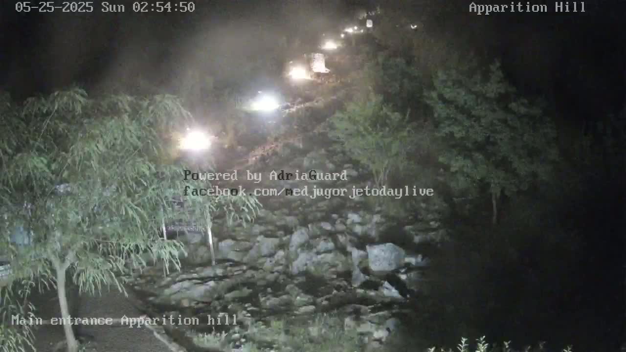 A nighttime, dimly lit scene shows a paved path winding uphill through dark vegetation, with several illuminated vehicles visible on the path.