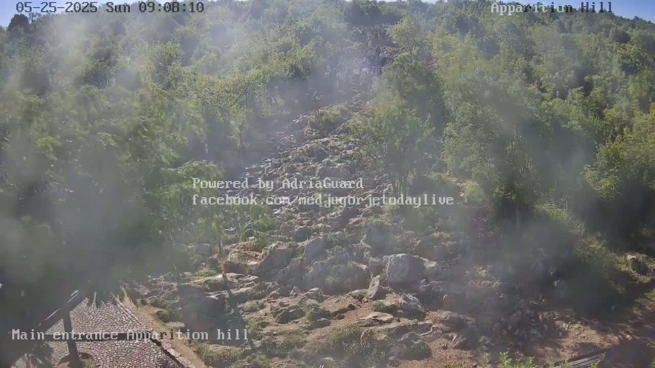A hazy, rocky hillside covered in green trees is visible, with a paved path leading to the bottom.