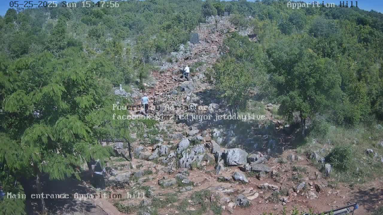 A rocky path winds upward through a hillside of green trees and shrubs under a sunny sky, with several people walking along the path.