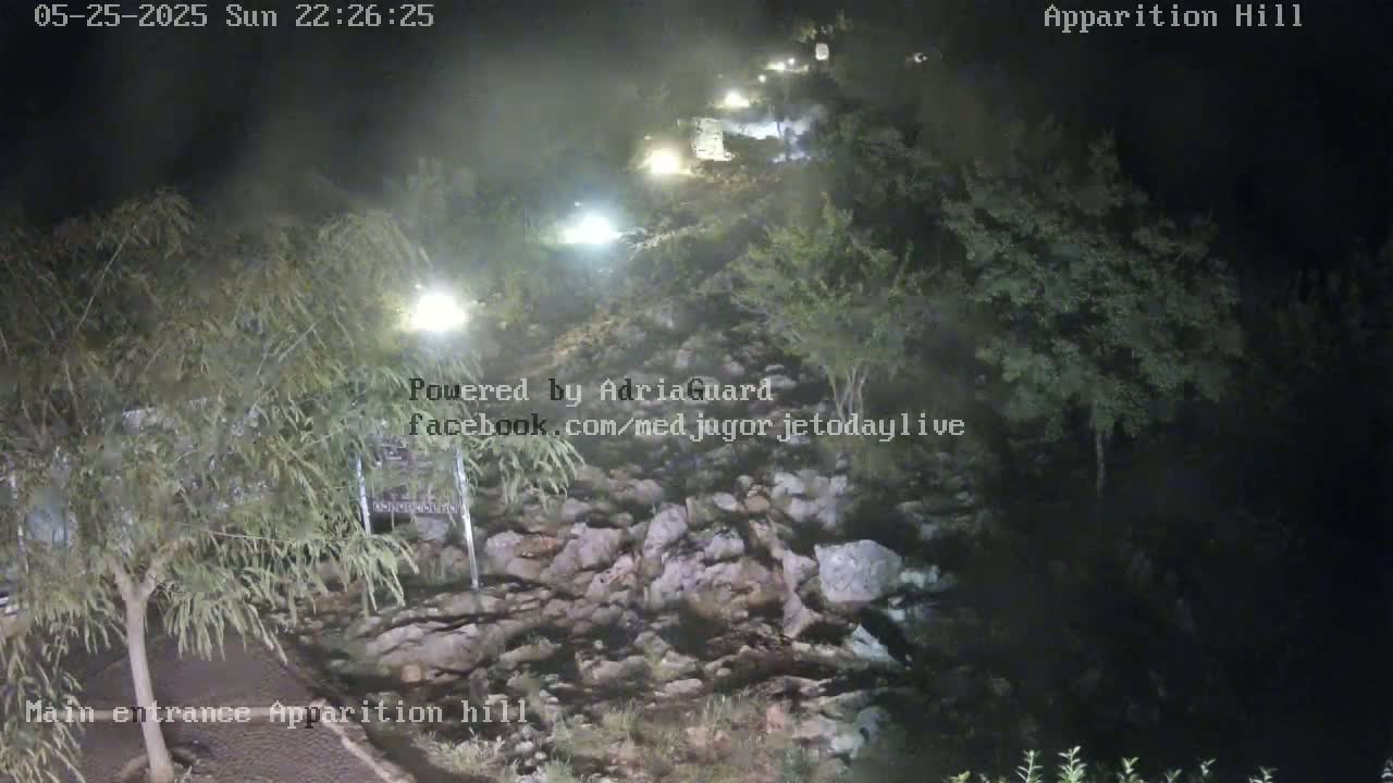 A nighttime view of a rocky area with vegetation and some lights visible along a path.