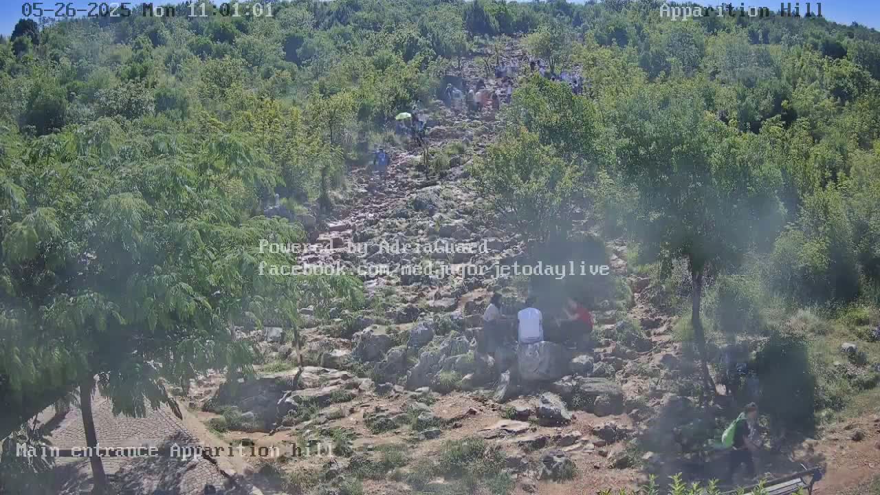 A rocky path winds uphill through a lush green hillside, with numerous people ascending and some resting along the way, on a hazy day.