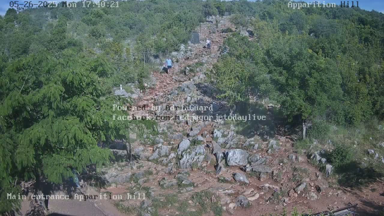Several people walk up a rocky path through a wooded hillside on a sunny day.