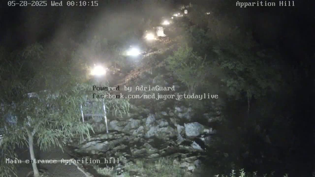 A nighttime view of a roadway winding through a dark, wooded area with several vehicles visible in the distance.