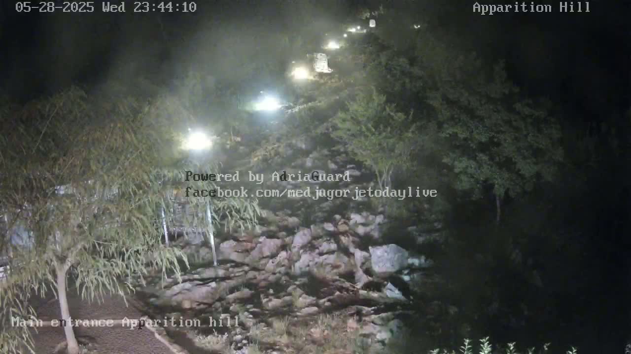 A nighttime view of a roadway winding up a rocky hill, lined with trees and illuminated by lights.