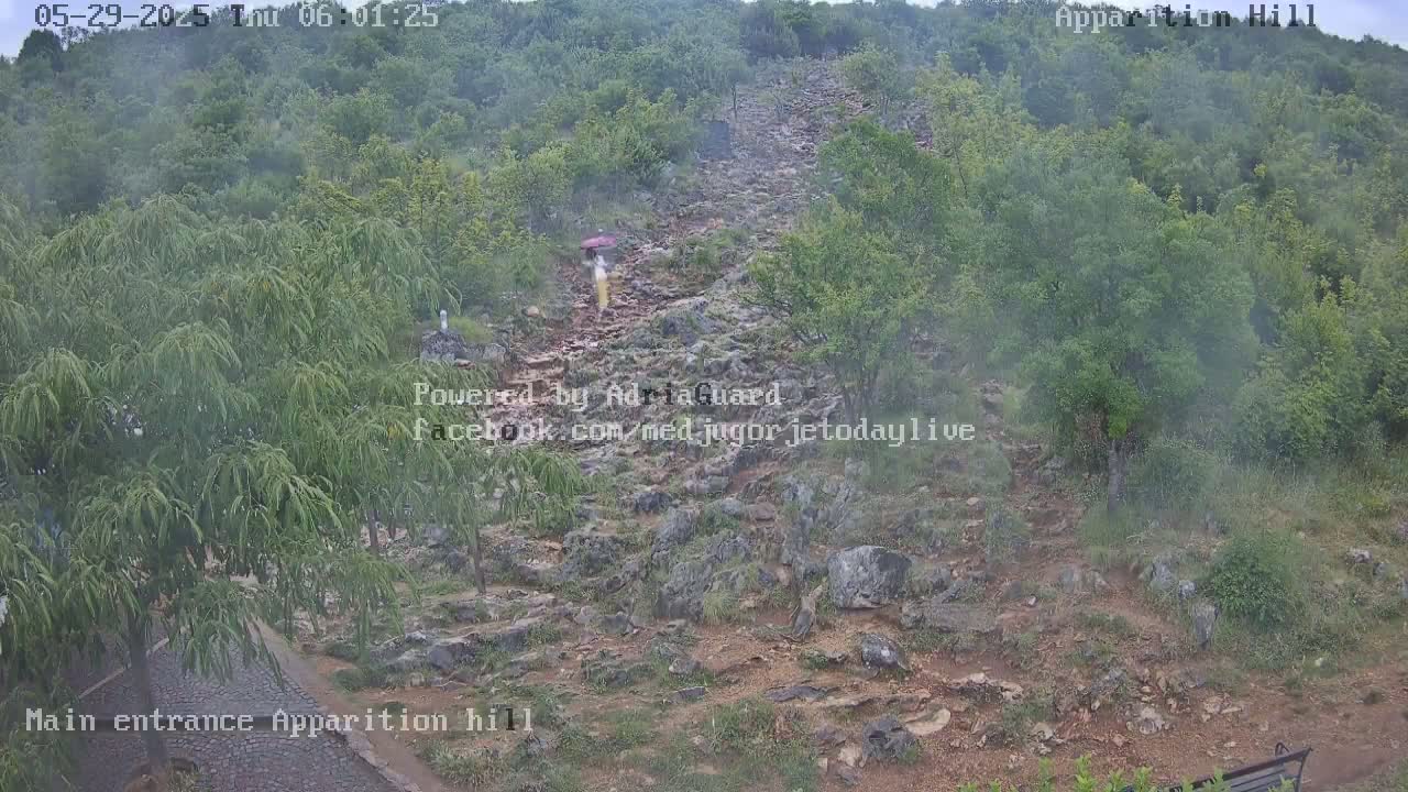 A rocky path winds uphill through a misting, green, wooded area, with a person using an umbrella visible in the mid-ground.