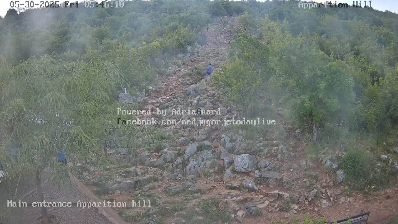 A rocky path ascends a hill covered in green vegetation under a hazy, possibly foggy, sky, with a person walking up the path.