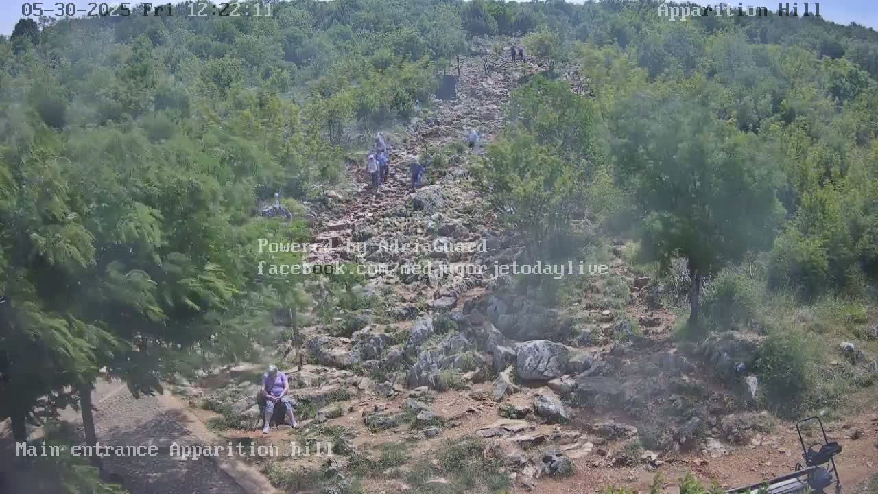 A rocky path winds uphill through a wooded area, with several people walking along it on a hazy day.