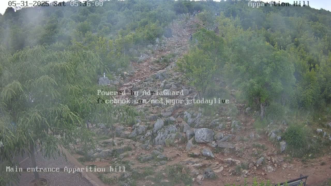 A rocky path ascends a hill covered in green vegetation under a hazy, misty atmosphere.