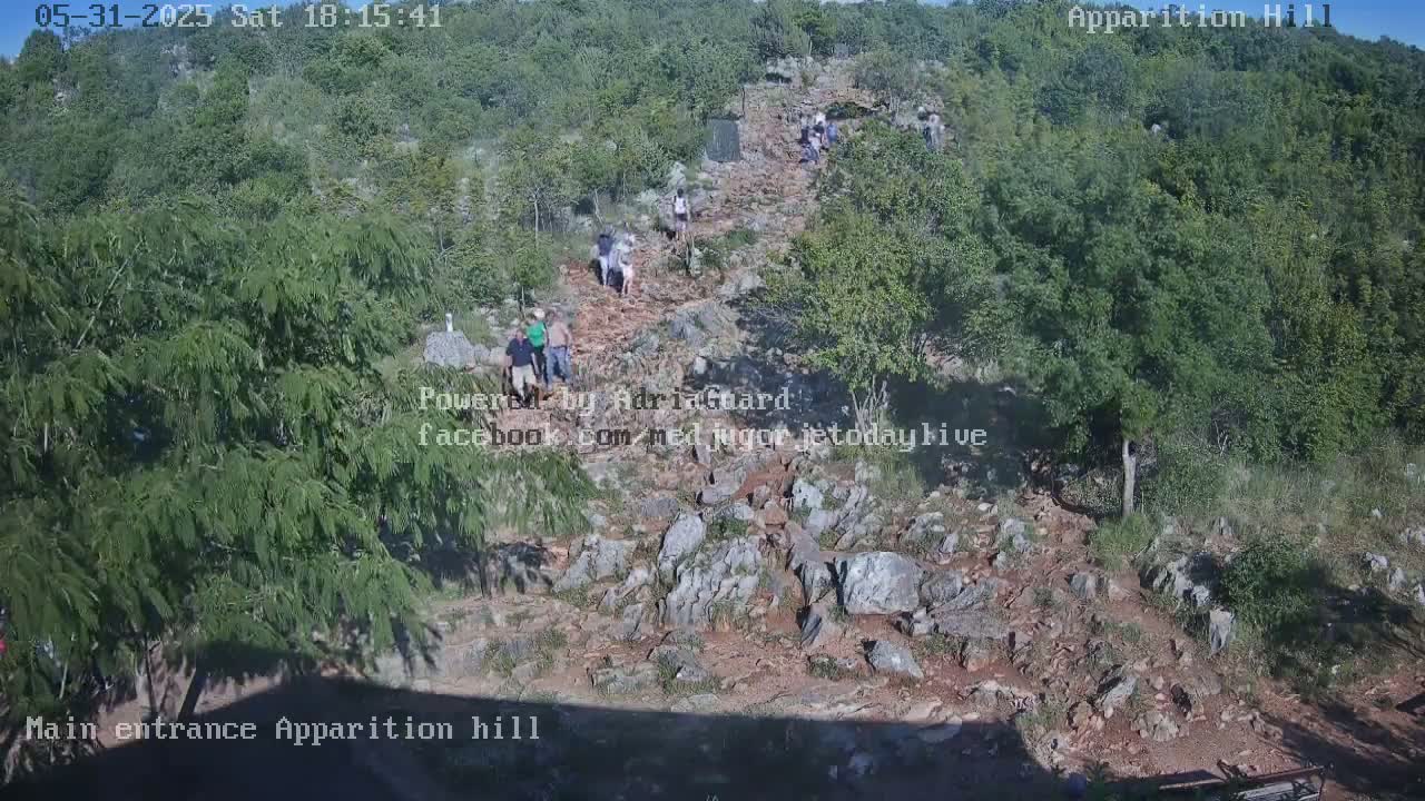 A rocky, uphill path through a wooded area, with several people walking on it under a mostly sunny sky.