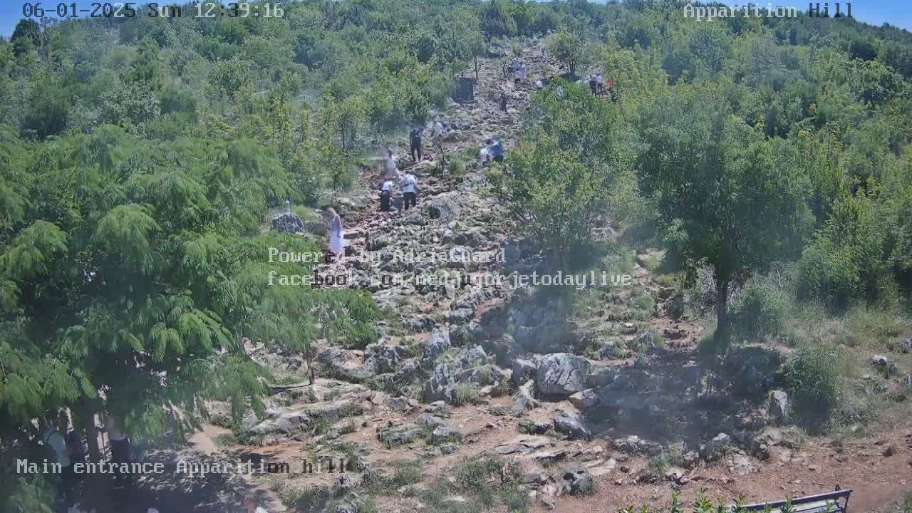 A rocky path winds upward through lush green vegetation, with several people walking along it on a sunny day.