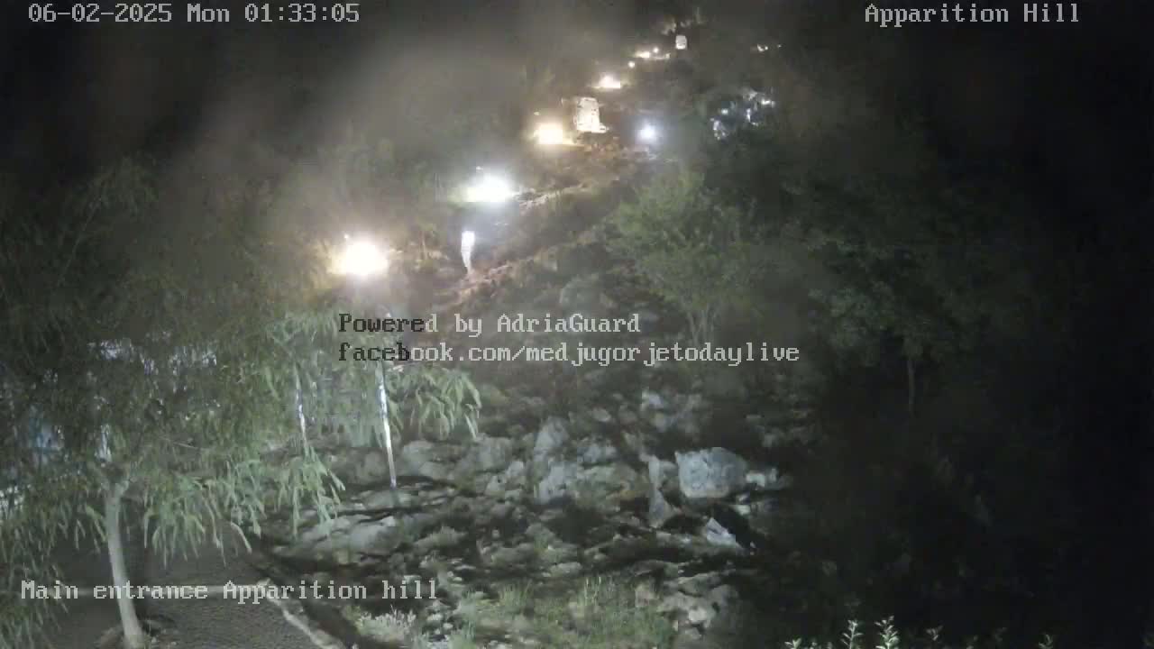 A nighttime view shows a rocky area with some vegetation, and several vehicle headlights are visible on a path uphill.