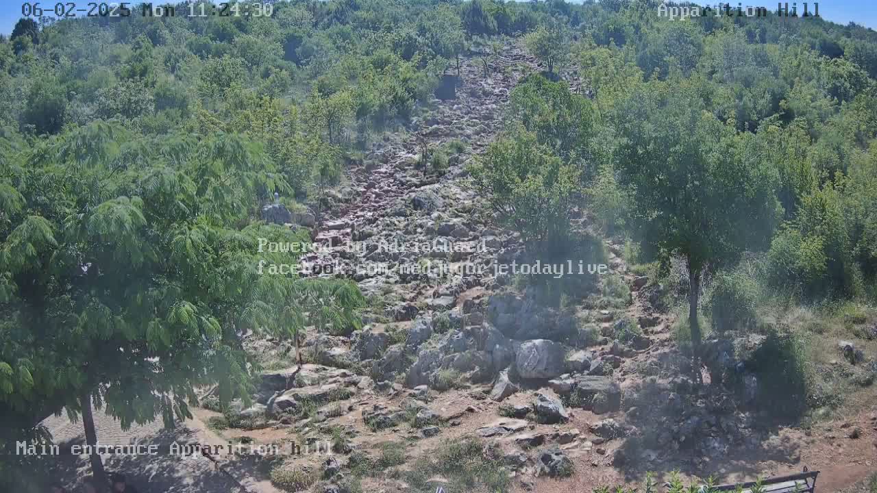 A rocky, uphill path winds through a green, wooded area on a sunny day.