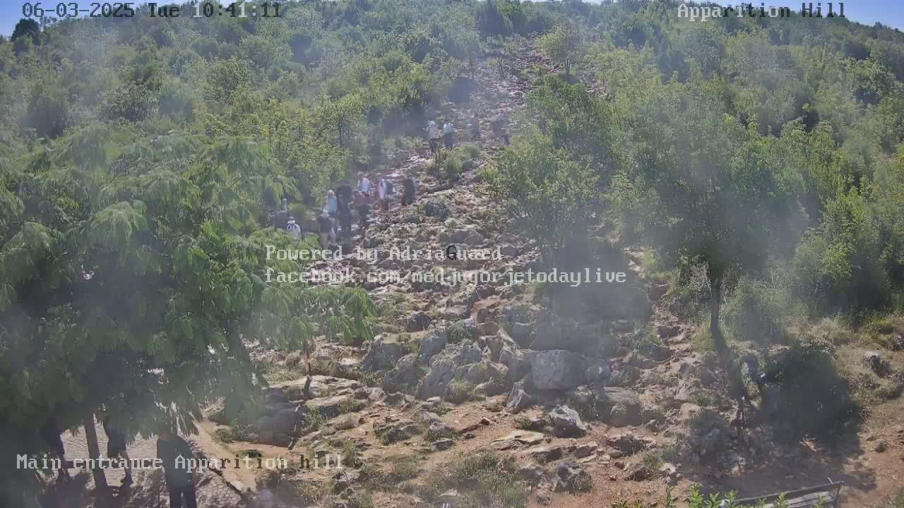 A hazy, sunny day shows a rocky hillside path with many people walking uphill among green trees and shrubs.