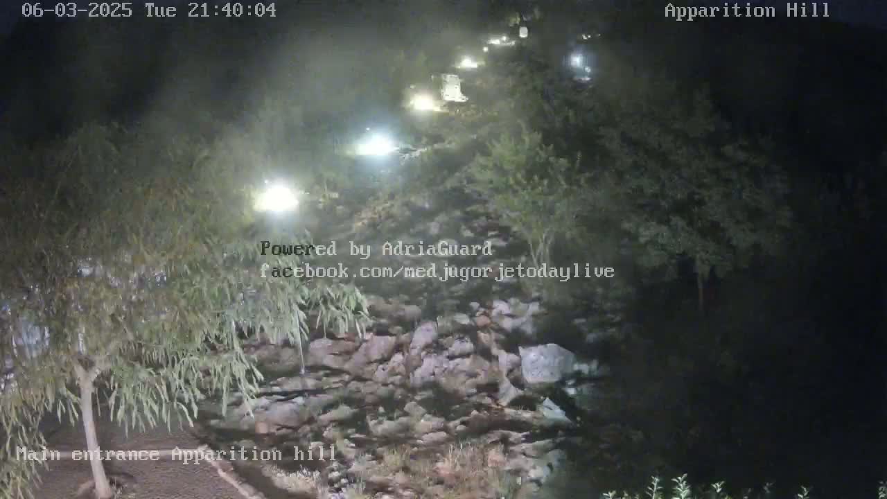 A nighttime, dimly lit road winds through a rocky area with vegetation on either side, showing several vehicles with headlights on in the distance.