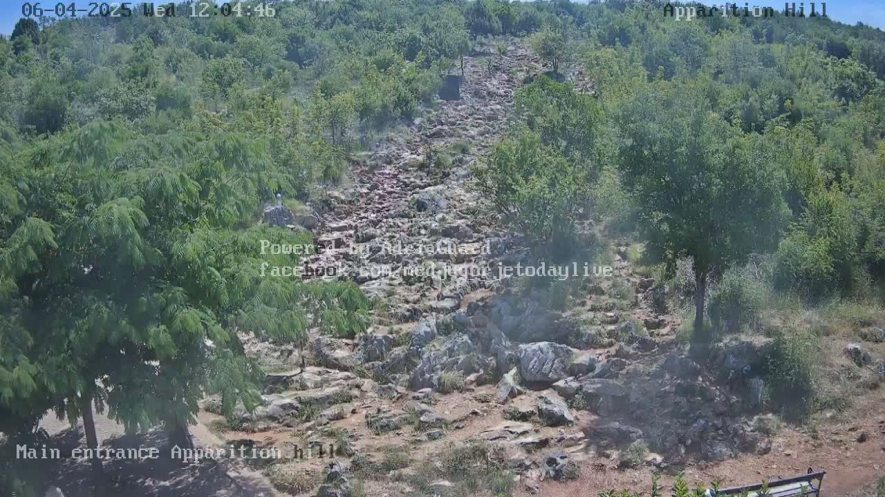 A rocky path winds uphill through a lush, green forest on a partly sunny day.
