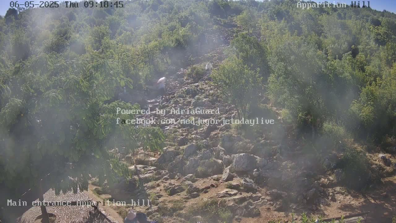 A hazy, rocky hillside covered with green trees and shrubs is seen from above.