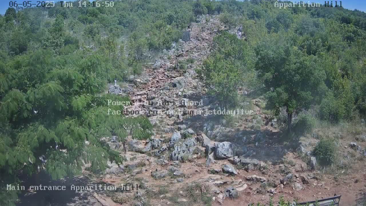 A rocky, uphill path winds through a hillside covered in green vegetation under a clear sky.