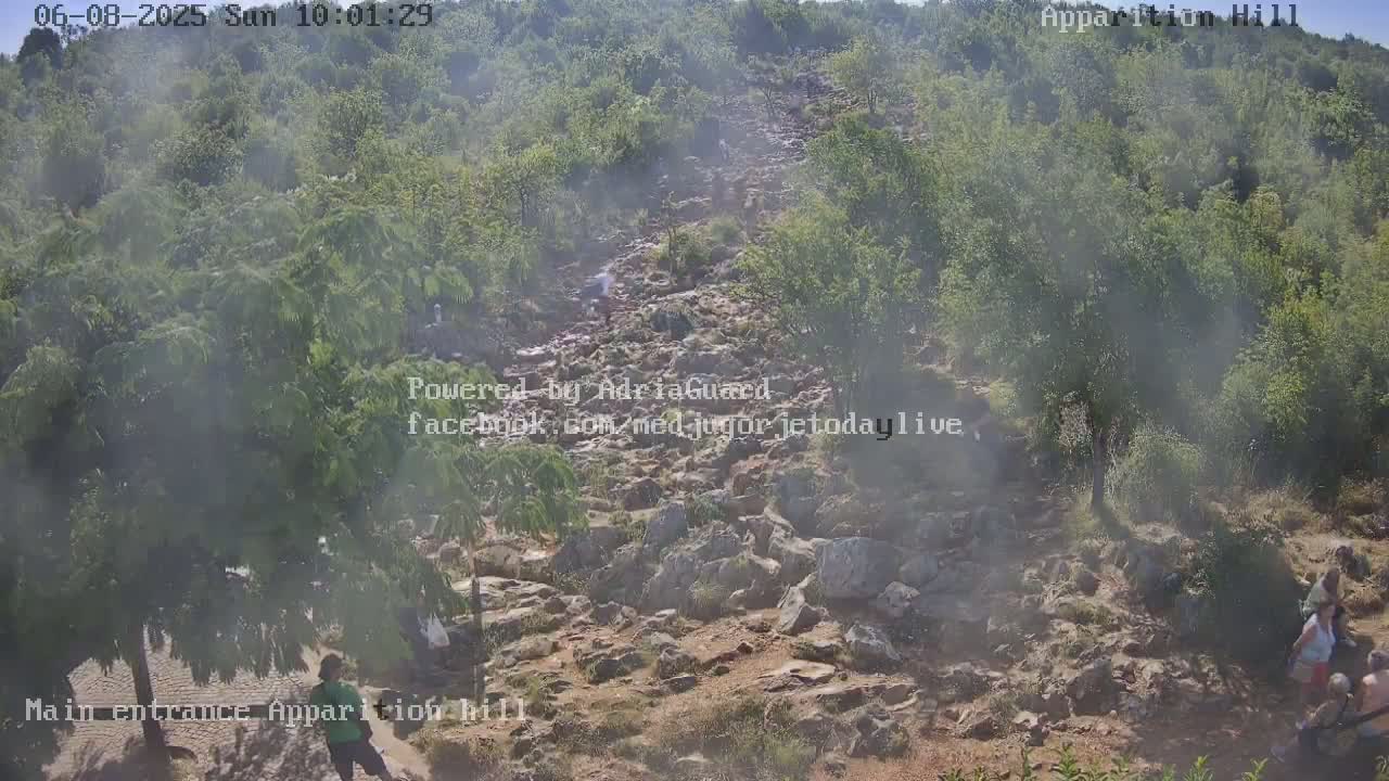 A hazy, rocky path winds upward through a hillside covered in green trees and shrubs, with several people walking along it.