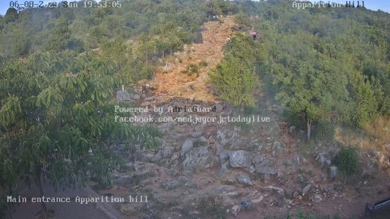A rocky, uphill path winds through a hillside covered in green trees and shrubs under a mostly clear sky.