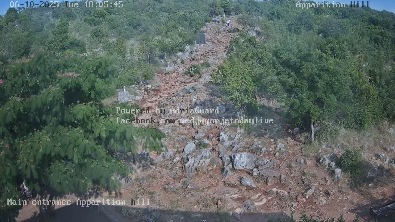 A rocky path winds uphill through green vegetation under a clear sky.