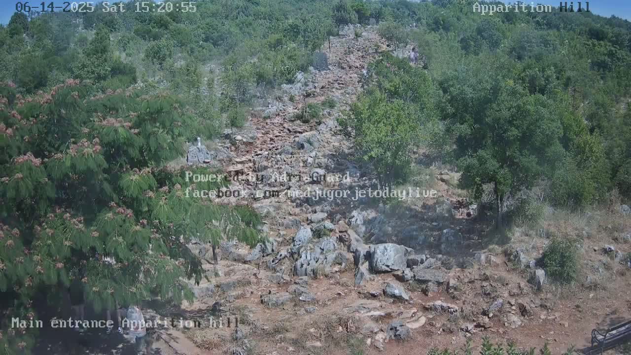 A rocky path ascends a hill covered in green vegetation under a clear sky.