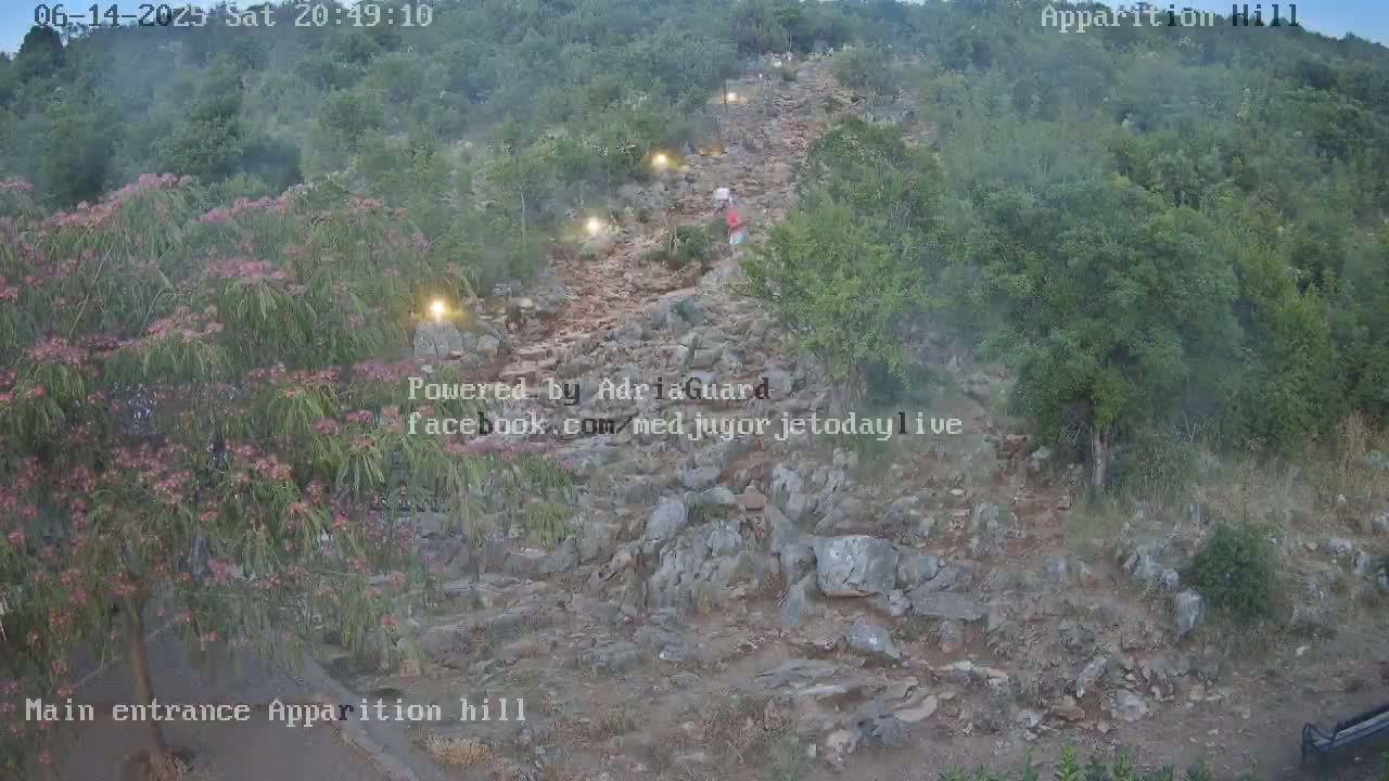 A rocky path ascends a hill covered in green vegetation under a clear sky.