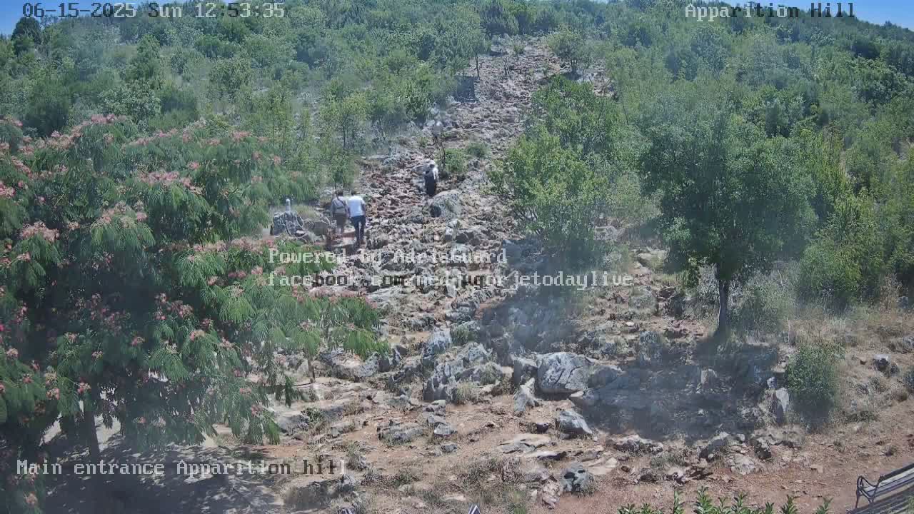 A rocky path winds uphill through a sunny, green hillside where several people are walking.