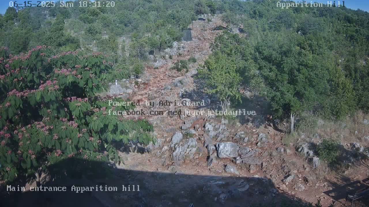 A rocky, uphill path winds through a sunlit landscape of green trees and shrubs, some of which are flowering.