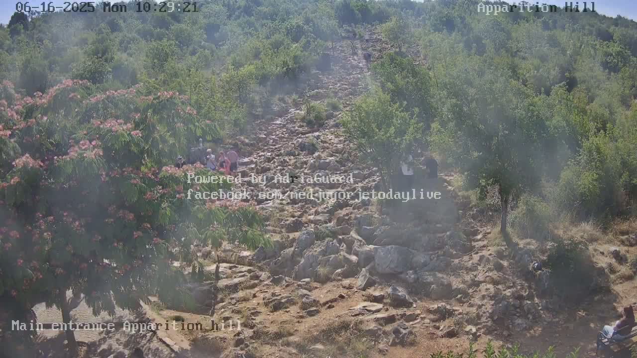 A hazy view shows a rocky path ascending a hill covered in green vegetation, with several people walking along the path.