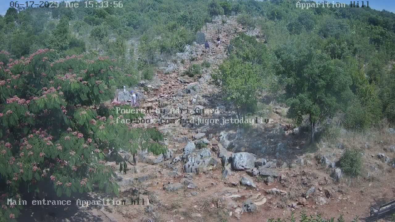A rocky path winds uphill through a lush, green hillside, with a few people walking along it under a sunny sky.