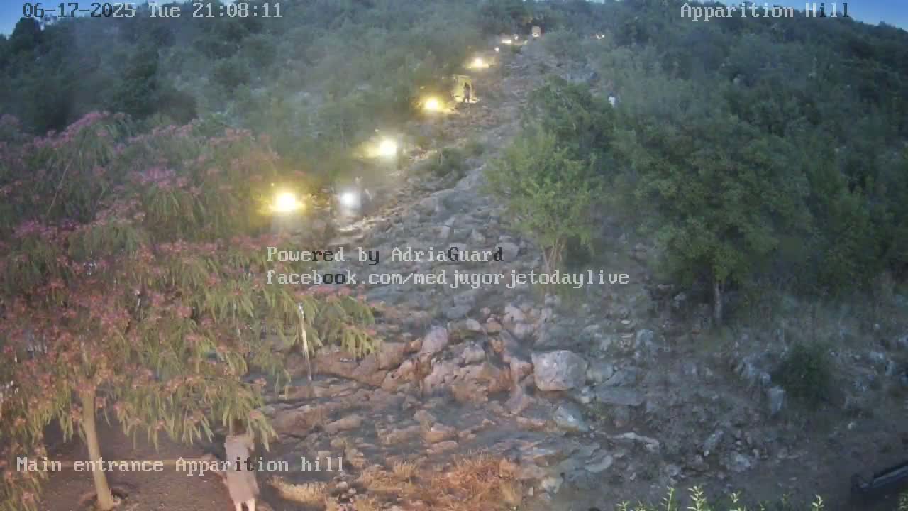 A rocky path winds uphill through a dimly lit, wooded area at night, with several people walking along it and small lights visible.