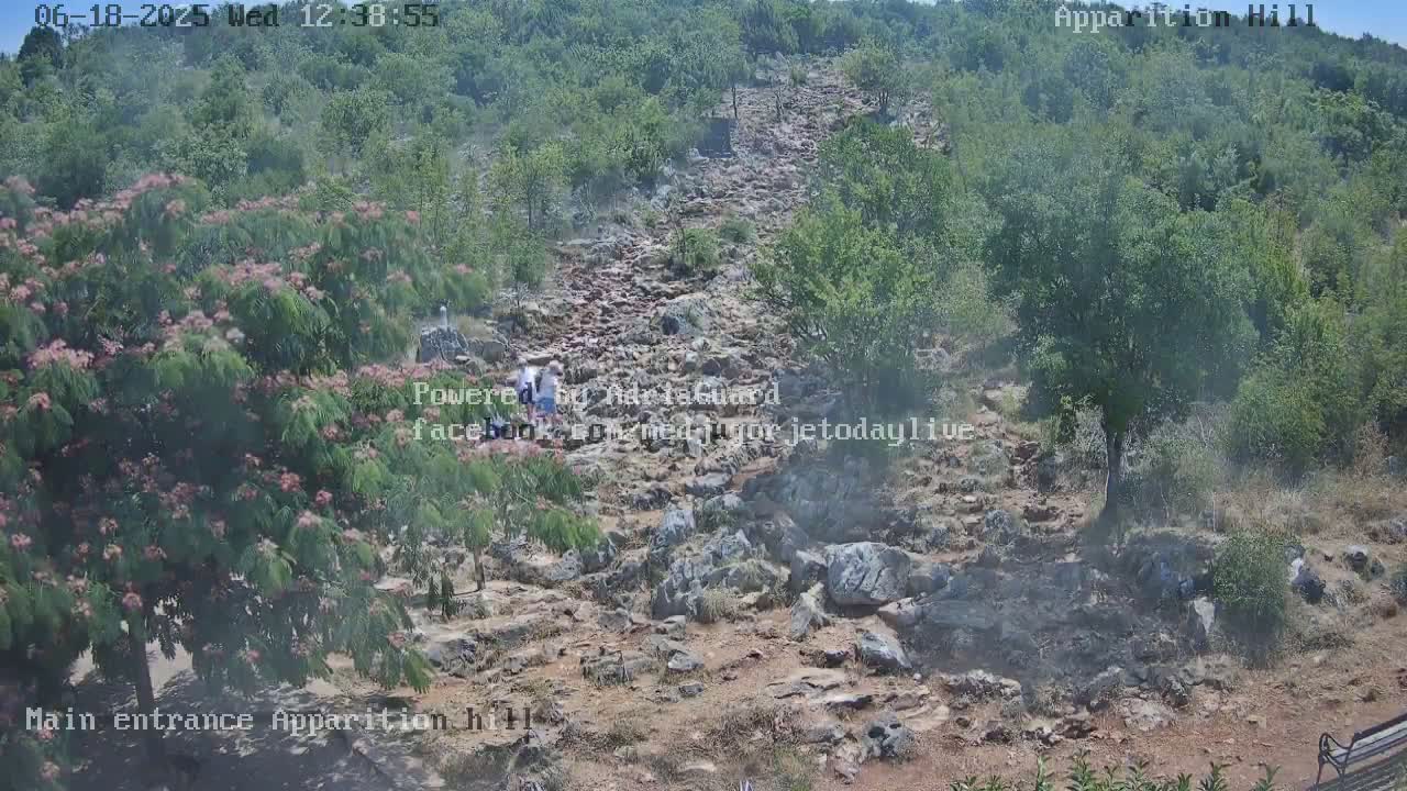 A rocky path winds upward through a hillside covered in green vegetation under a bright, sunny sky.