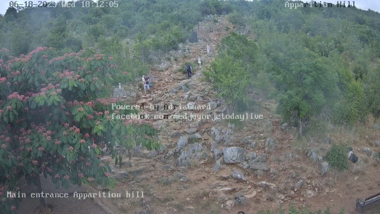 A rocky, uphill path winds through a hazy, green landscape, with several people walking along it.