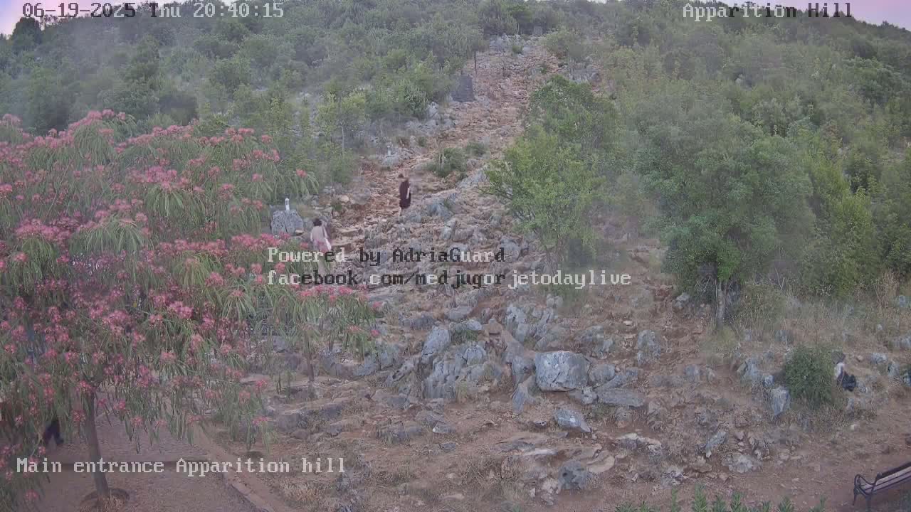 A rocky, uphill path winds through a hilly landscape covered in green vegetation under a hazy sky, with several people walking along it.