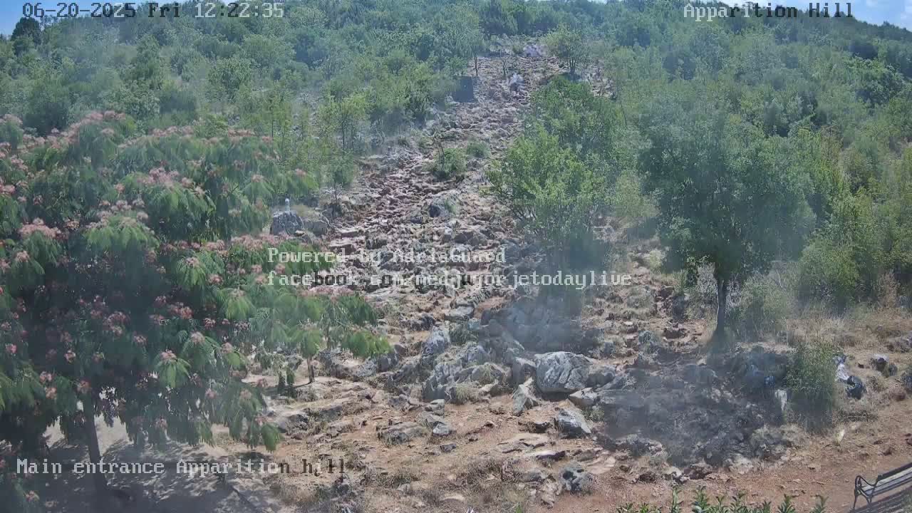 A rocky, uphill path winds through a hillside covered in green shrubs and trees under a hazy sky.