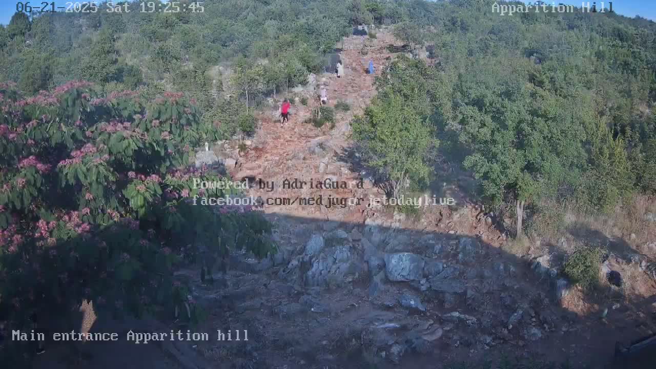 Several people walk up a rocky, dirt path on a hill covered in green vegetation under a clear, daytime sky.