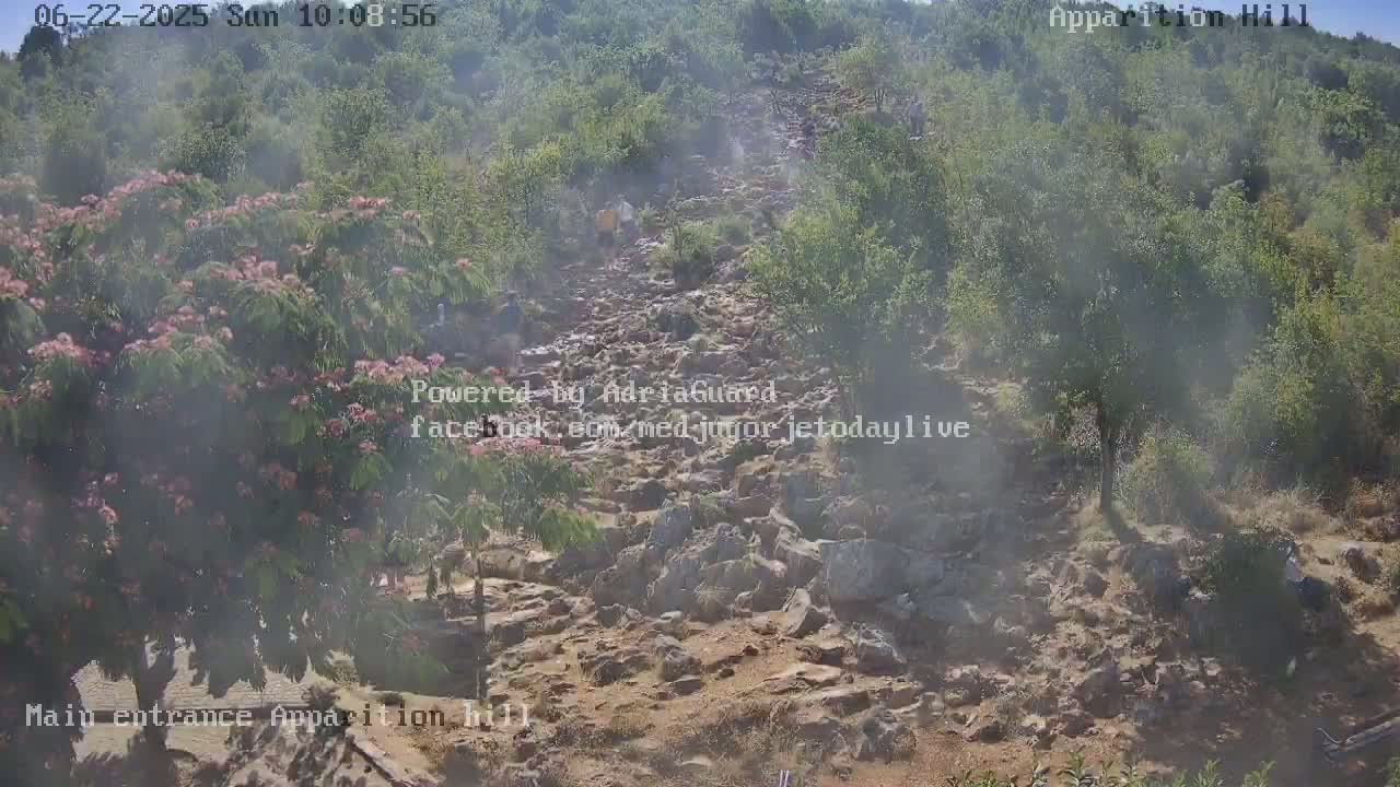 A hazy view shows a rocky path winding uphill through a wooded area, with several people walking on the path.
