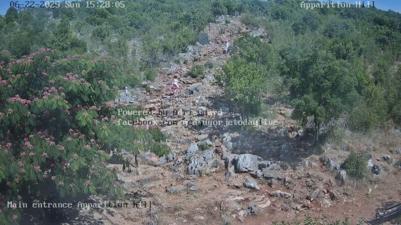 A rocky, uphill path winds through a hilly landscape under a mostly sunny sky, with a few people walking along it and lush green vegetation surrounding it.