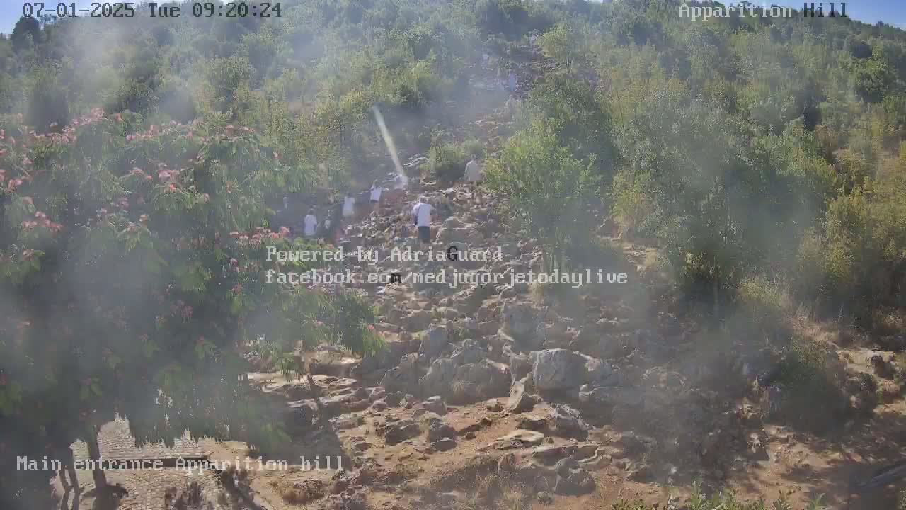 A hazy, sunny day shows a rocky path up a hill where numerous people are walking amongst green trees and shrubs.
